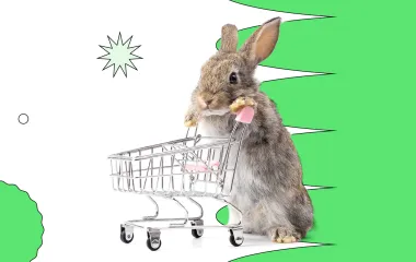„Nakupte teď, zaplaťte později“ Víte, jak funguje odložená platba?