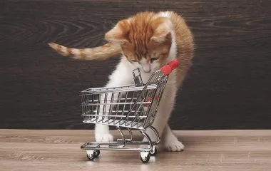 Jak zvýšit tržby na vašem e-shopu? Máme pro vás 4 osvědčené tipy!